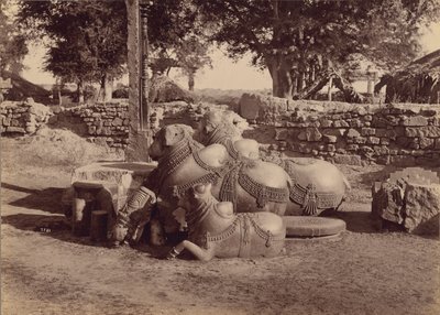 Stieren of Nadias met versieringen Zijaanzicht, Warangal, Hyderabad, Deccan door Lala Deen Dayal