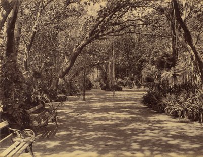Sookh-Vilas Paleistuin door Lala Deen Dayal
