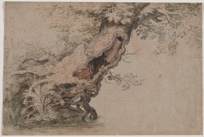 Holle Boom, naar Roelant Savery, na 1670 door Lambert Doomer
