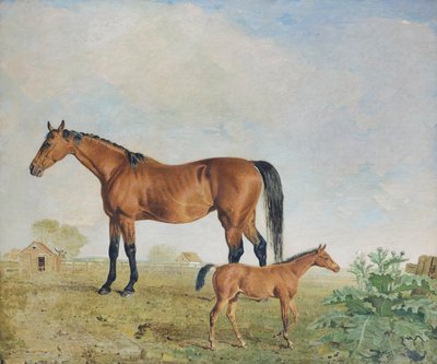 De paarden van Mr. Young, Benjamin en Lambert Marshall door Lambert Marshall