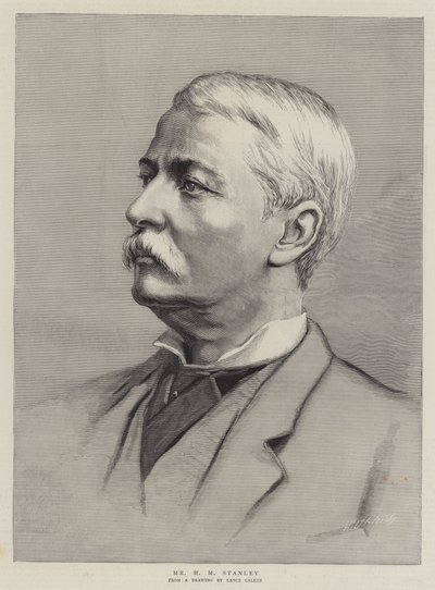 Mr H M Stanley door Lance Calkin