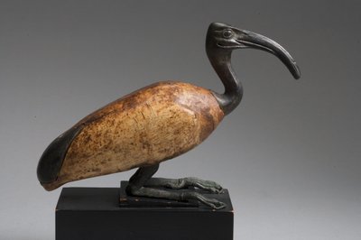Ibis door Late Period Egyptian