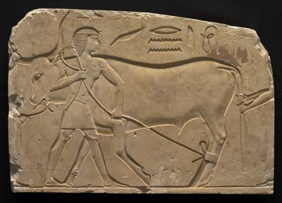 Mannen die een os vastbinden door Late Period Egyptian