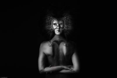 De mysterieuze gemaskerde vrouw door Laura Benvenuti
