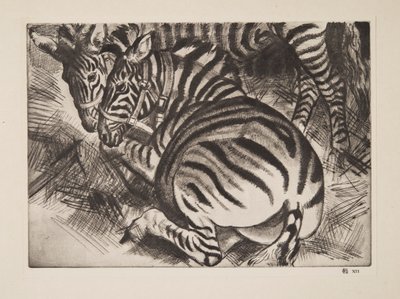Zebra