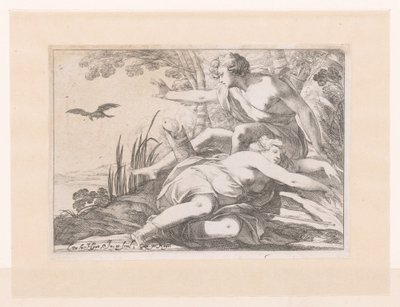 Apollo en Coronis door Laurent de La Hire