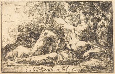 Narcissus bij de Bron door Laurent de la Hyre