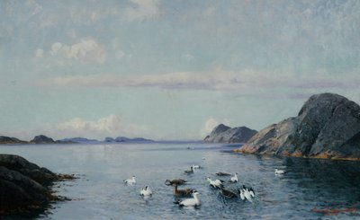 Zuidkust met zeevogels door Lauritz Haaland