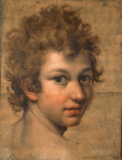 Portret van een Jongen door Lavinia Fontana