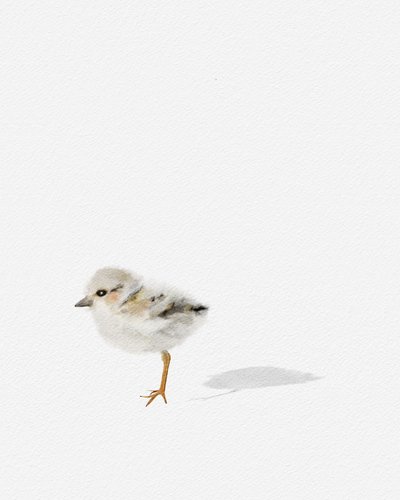 Strandvogel door Leah Straatsma