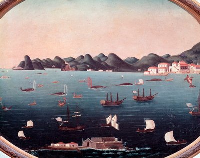 Walvisvangst in de Baai van Guanabara in Brazilië door Leandro Joachim