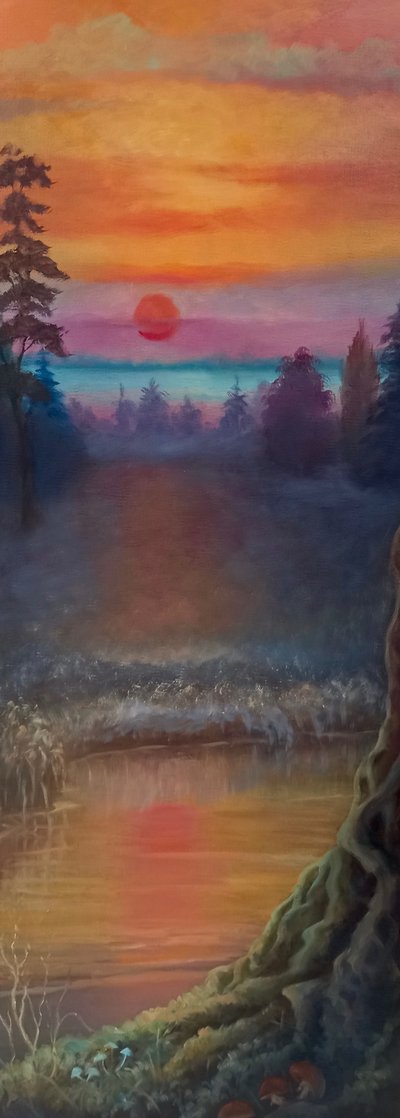 Noorderlicht door Lee Campbell