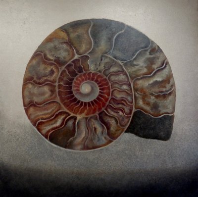 Zilveren Ammoniet door Lee Campbell