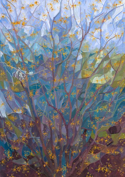 Toverhazelaar in Bloei, 2015 door Leigh Glover