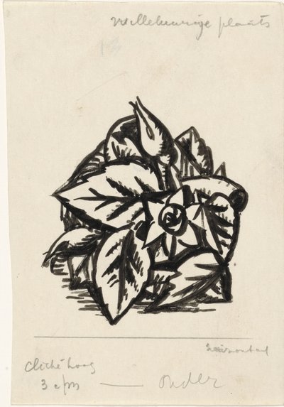 Bloemen door Leo Gestel