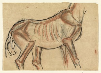 Skelet van een paard door Leo Gestel