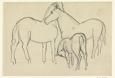 Twee paarden en een veulen door Leo Gestel