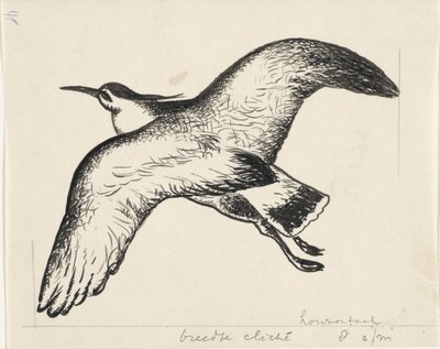 Vliegende vogel door Leo Gestel