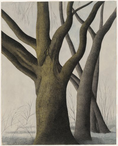  door Leon Spilliaert