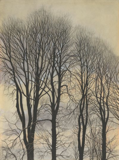 Boom in de lucht door Leon Spilliaert