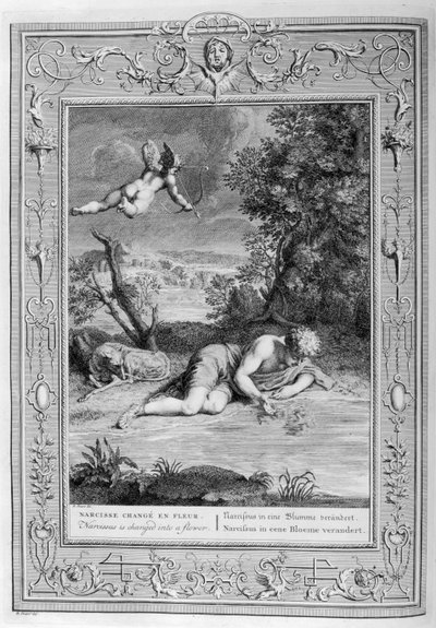 In de Griekse mythologie verandert Narcissus in een bloem door Leonard Gaultier