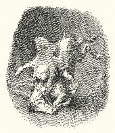 John Cook had een kleine grijze merrie (gravure) door Leonard Leslie Brooke