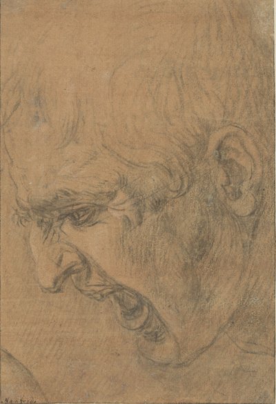 Hoofd van een schreeuwende man door Leonardo da (follower of) Vinci
