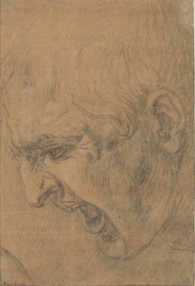 Kop van een schreeuwende man door Leonardo da Vinci (follower of)