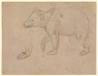 Een wandelende beer door Leonardo da Vinci