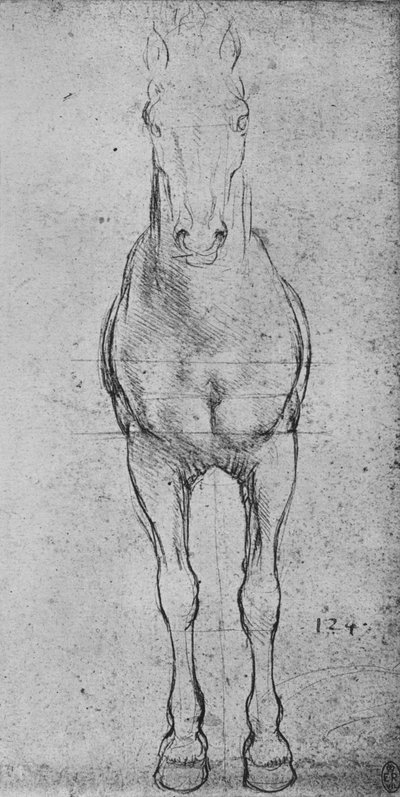 Een paard gezien van voren door Leonardo da Vinci