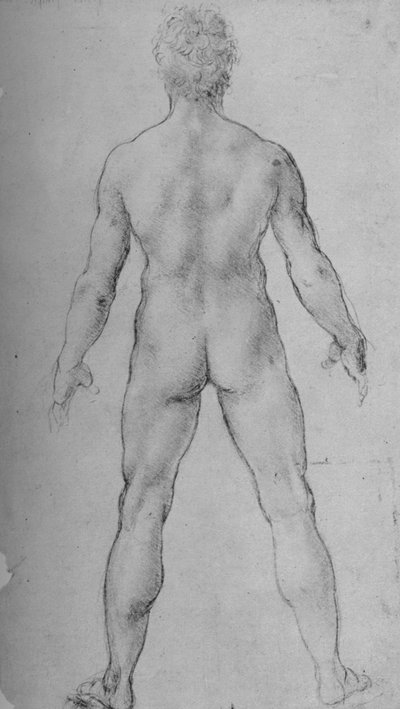 Een naakte man gezien van achteren, ca. 1480 door Leonardo da Vinci