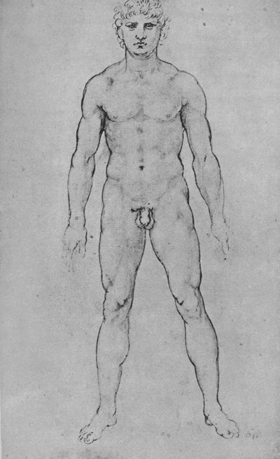 Een naakte man gezien van voren door Leonardo da Vinci