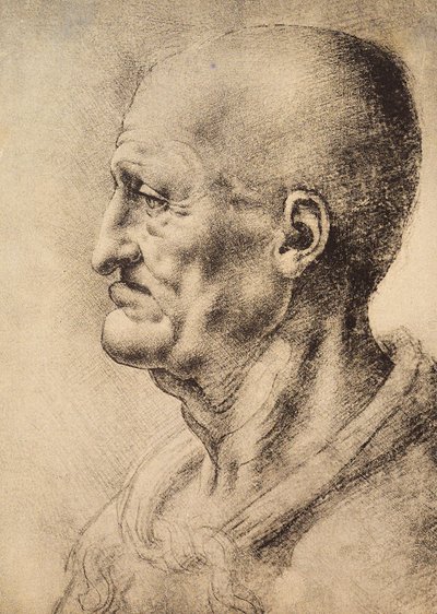 Een man in profiel, tekening door Leonardo da Vinci, bewaard in de Kamer van Tekeningen en Prenten, Uffizi Gallery, Florence door Leonardo da Vinci