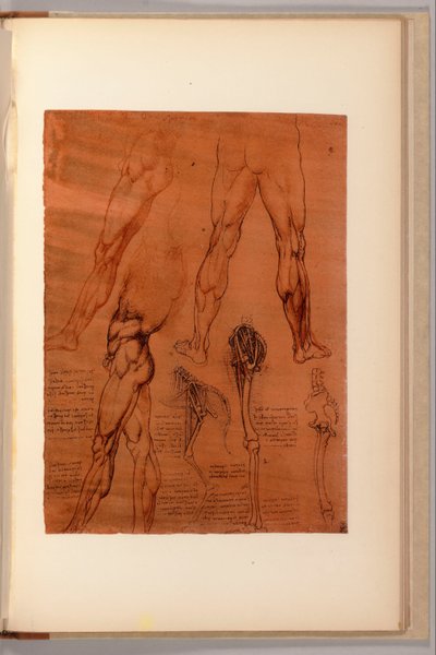 Een pagina uit "Quaderni d"Anatomia, I-VI, 1911-16 door Leonardo da Vinci