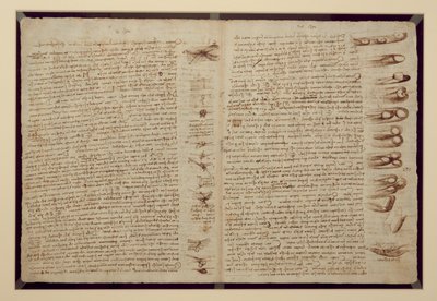 Een pagina uit de Codex Leicester, 1508-12 door Leonardo da Vinci