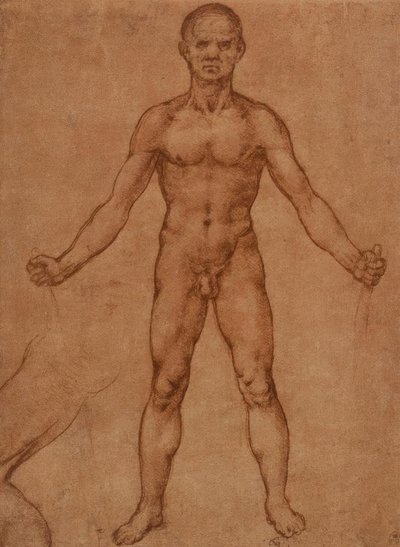 Naaktstudie van een staande man, frontaal door Leonardo da Vinci