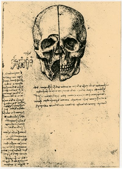 Anatomische schets van een menselijke schedel, ca. 1472-1519 door Leonardo da Vinci