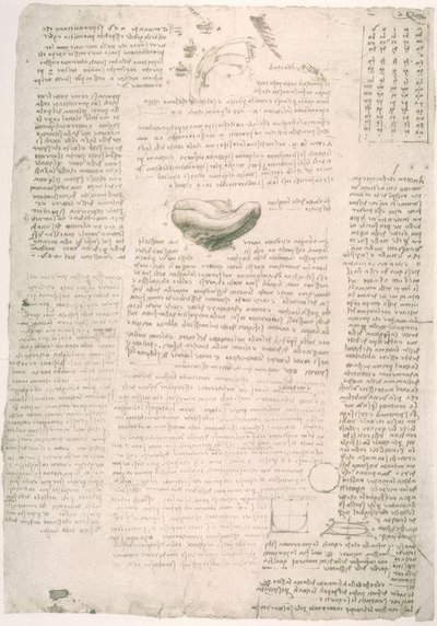 Anatomiestudies door Leonardo da Vinci