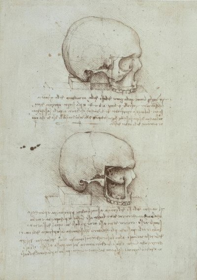 Anatomiestudies door Leonardo da Vinci