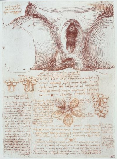 Anatomiestudies: Vulva van een multipare vrouw na de geboorte door Leonardo da Vinci