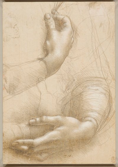 Armen en vrouwelijke handen, ca. 1480 door Leonardo da Vinci