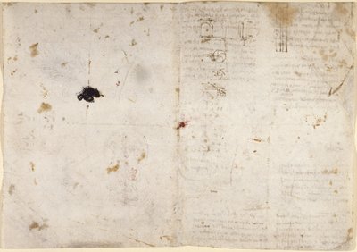 Tekeningen over de mechanische krachten en krachten, percussie, zwaartekracht, beweging, optica en astronomie, met verschillende rekenkundige en geometrische stellingen door Leonardo da Vinci