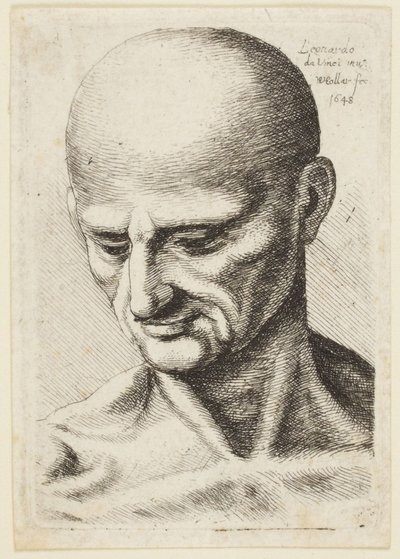 Kale man door Leonardo da Vinci