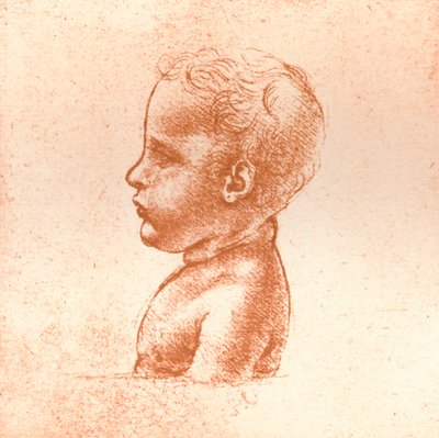 Buste van een jongen, c1472-c1519 door Leonardo da Vinci