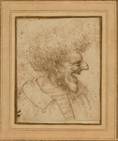 Karikatuur van een man met borstelig haar door Leonardo da Vinci