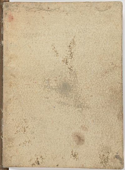 Code over de vlucht van vogels, ca. 1505-06, papieren manuscript, cc. 18, Omslag I door Leonardo da Vinci