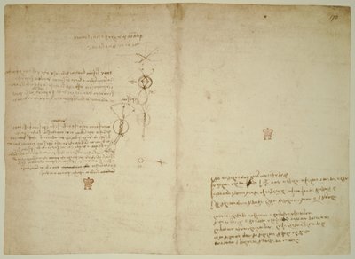  door Leonardo da Vinci