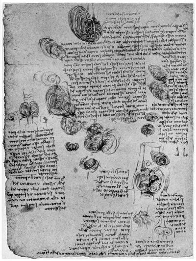 Diagram van de bloedwerveling in het hart, eind 15e of begin 16e eeuw, 1954 door Leonardo da Vinci