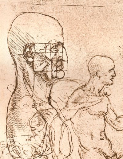 Tekening ter illustratie van de theorie van de proporties van het menselijk figuur, ca. 1472-1519, 1883 door Leonardo da Vinci