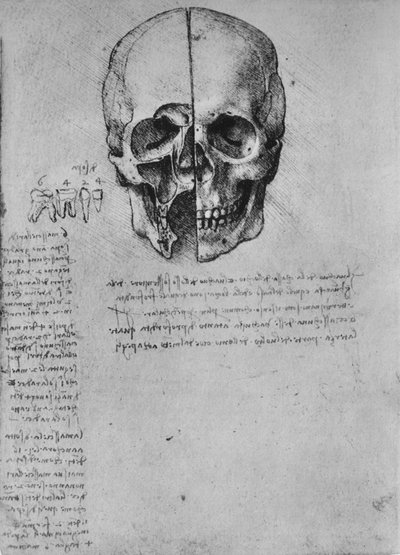 Tekening van twee helften van een schedel, ca. 1480 1945 door Leonardo da Vinci